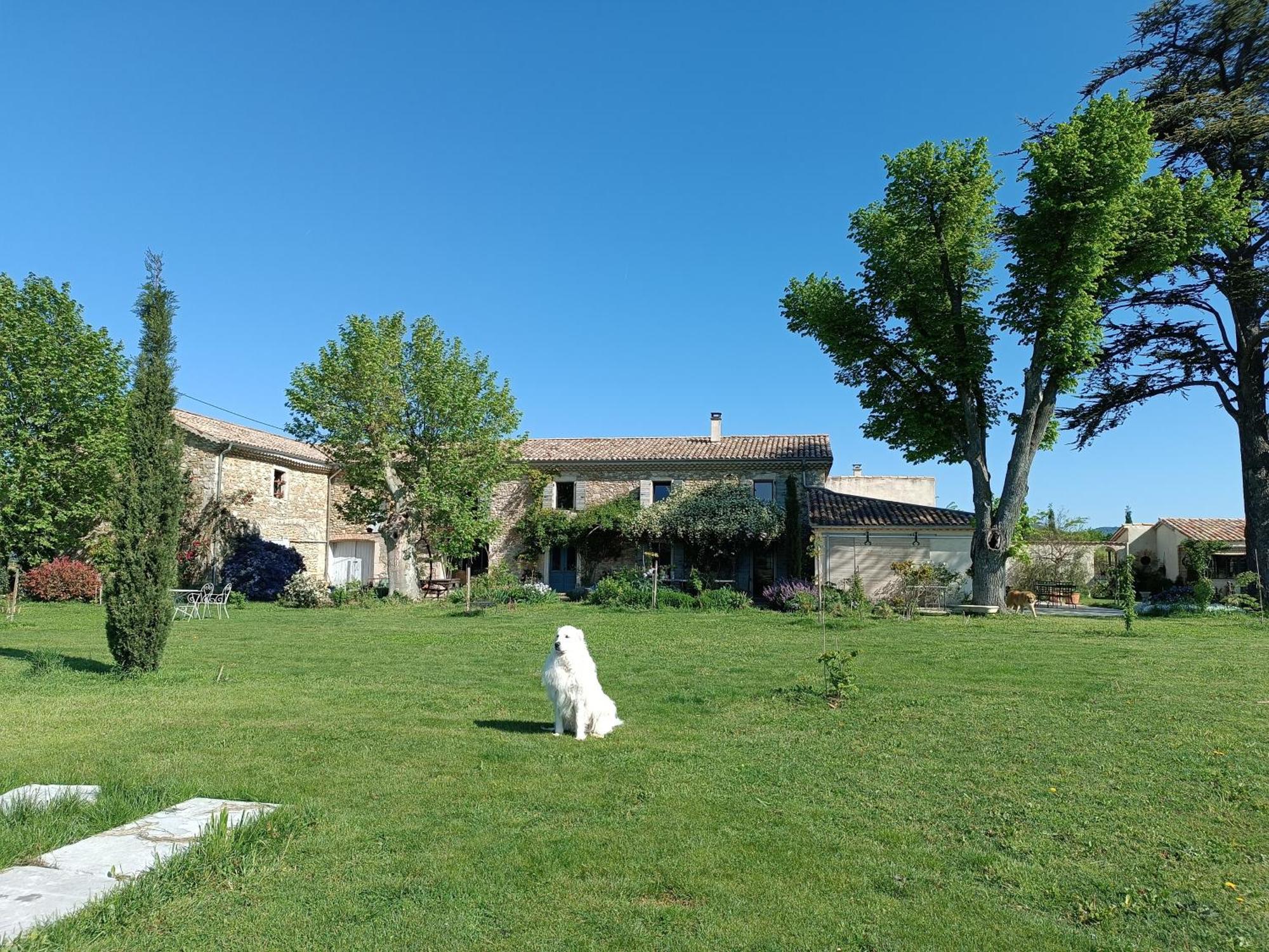 Bed and Breakfast La Boheme Charols Exteriér fotografie